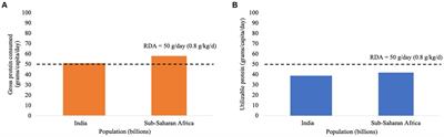 Digestible indispensable amino acid score (DIAAS): 10 years on
